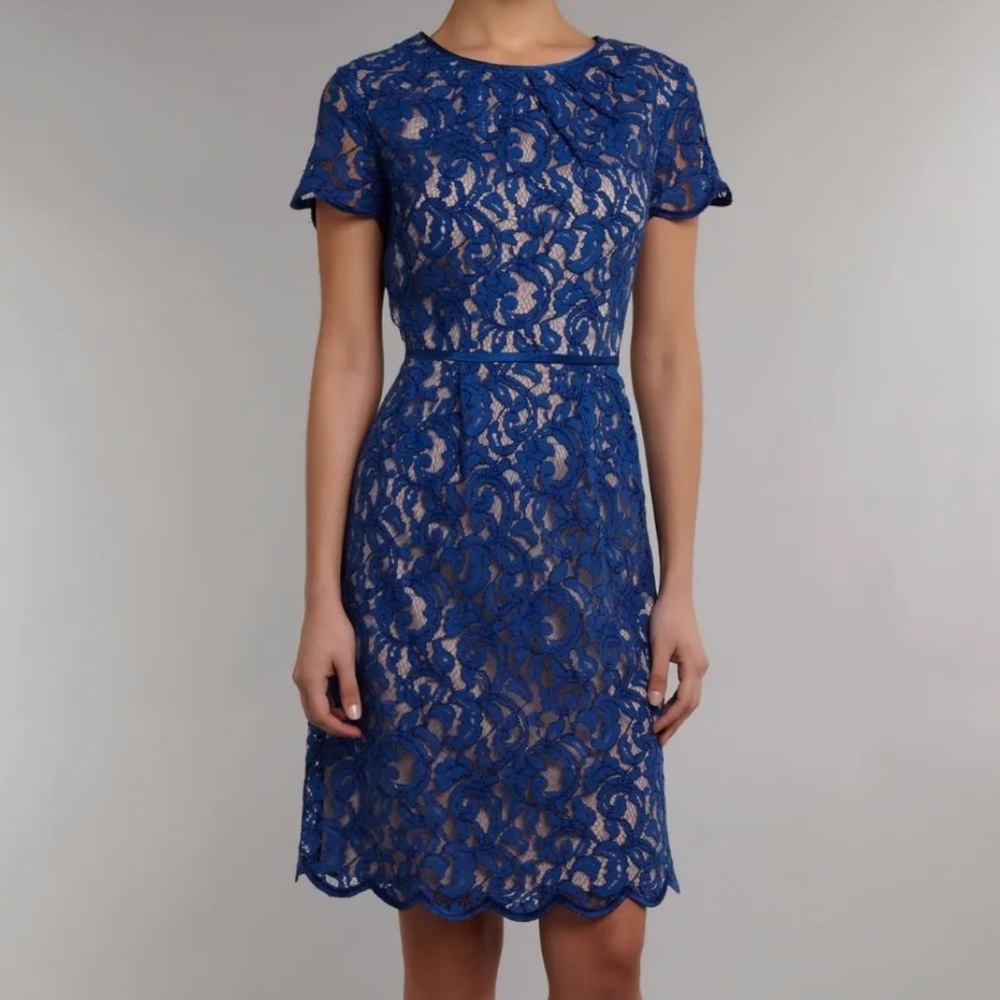 Adrianna Papell Blue Lace Short Dress size 14